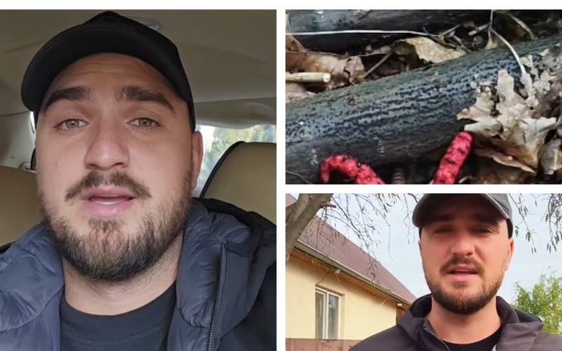 Gemenii Graur, surprinși de ce a crescut în iarbă, în spatele casei: „Mă întreb dacă se poate mânca”